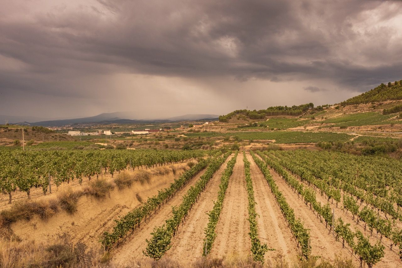 Hariak Winery