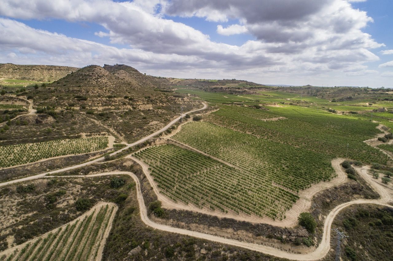 Hariak Winery
