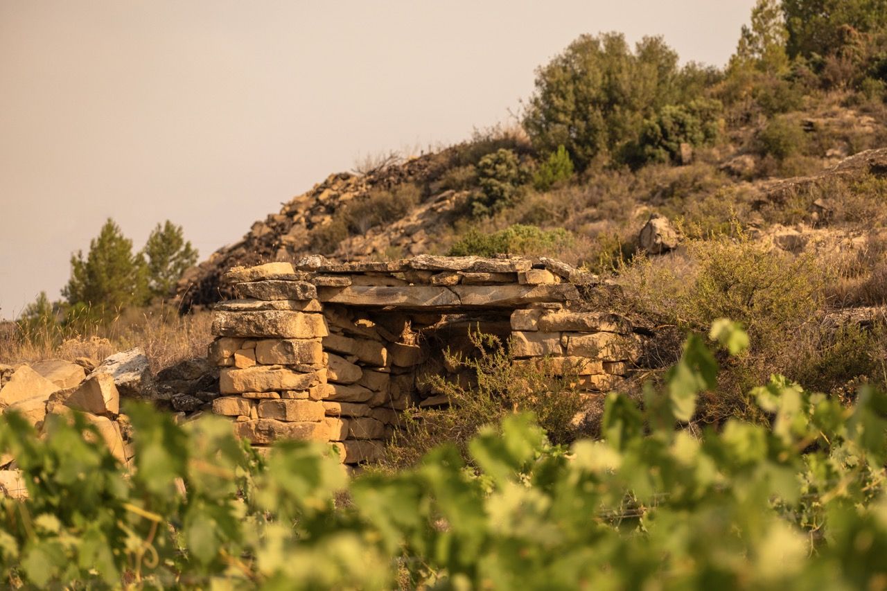 Hariak Winery