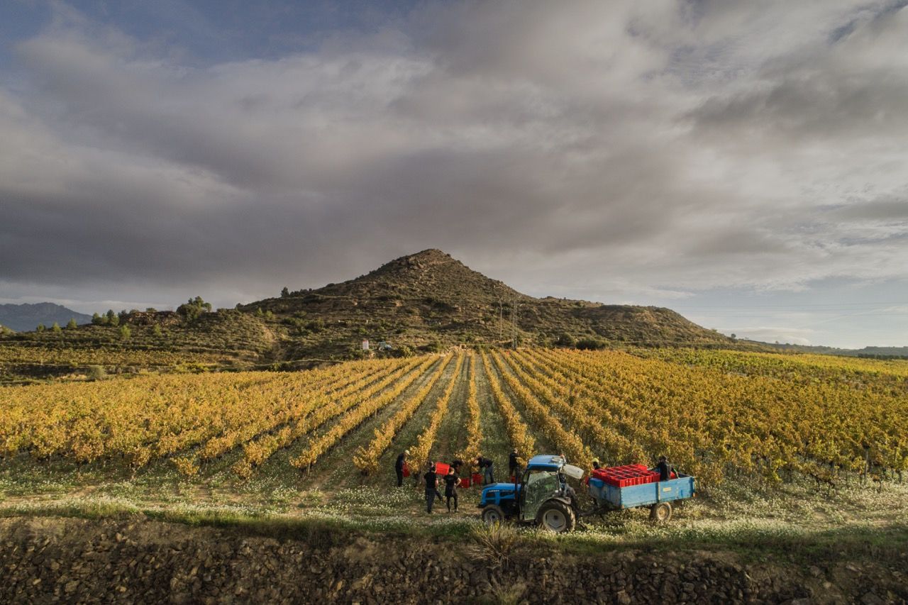 Hariak Winery
