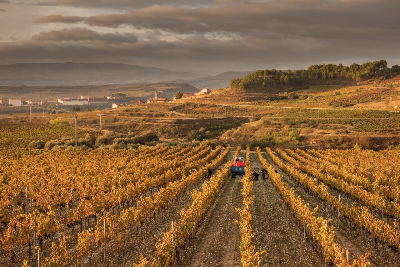 Hariak Winery